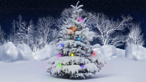 Christmas-Winter-Wallpapers-6.jpg