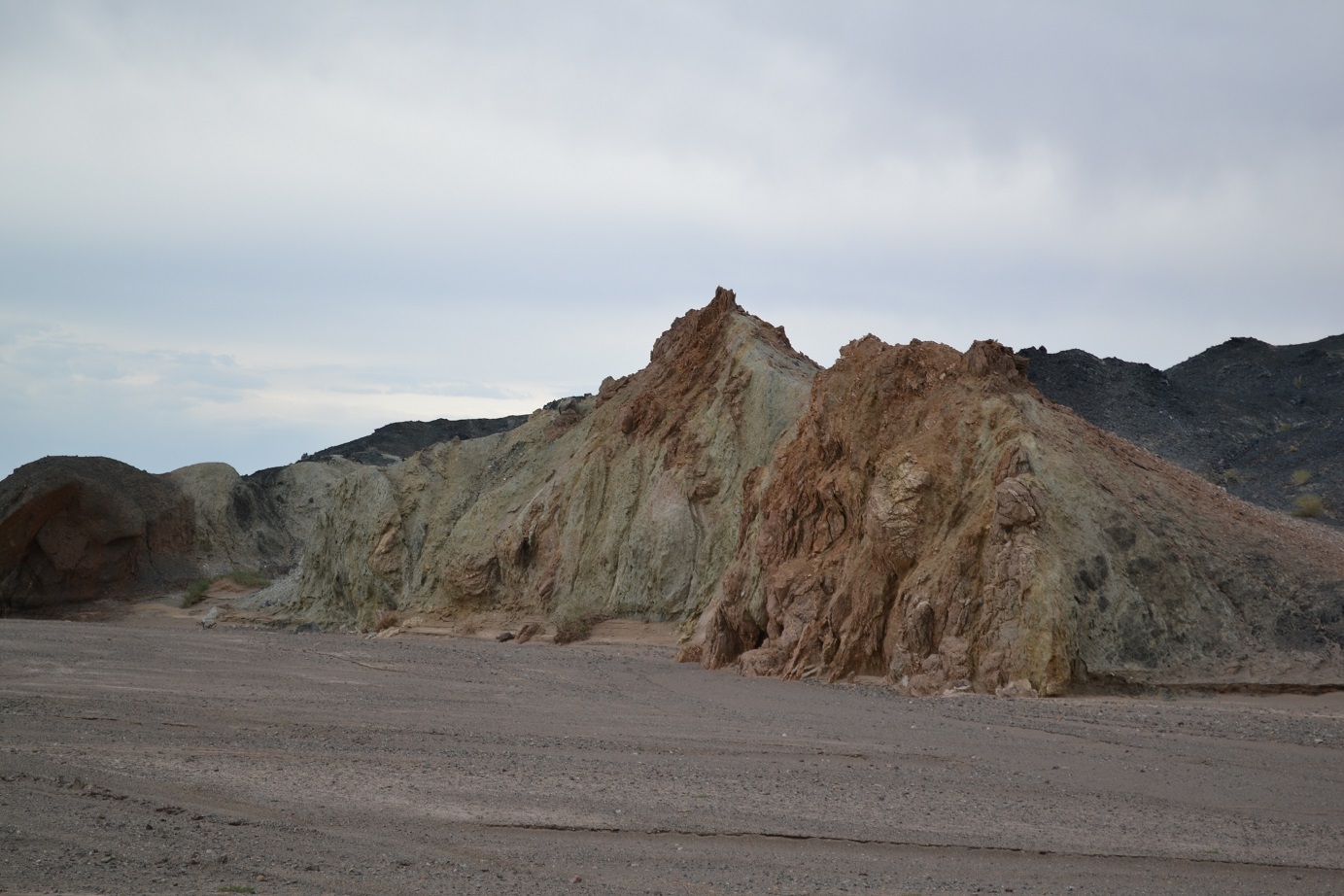 DSC_0509.JPG