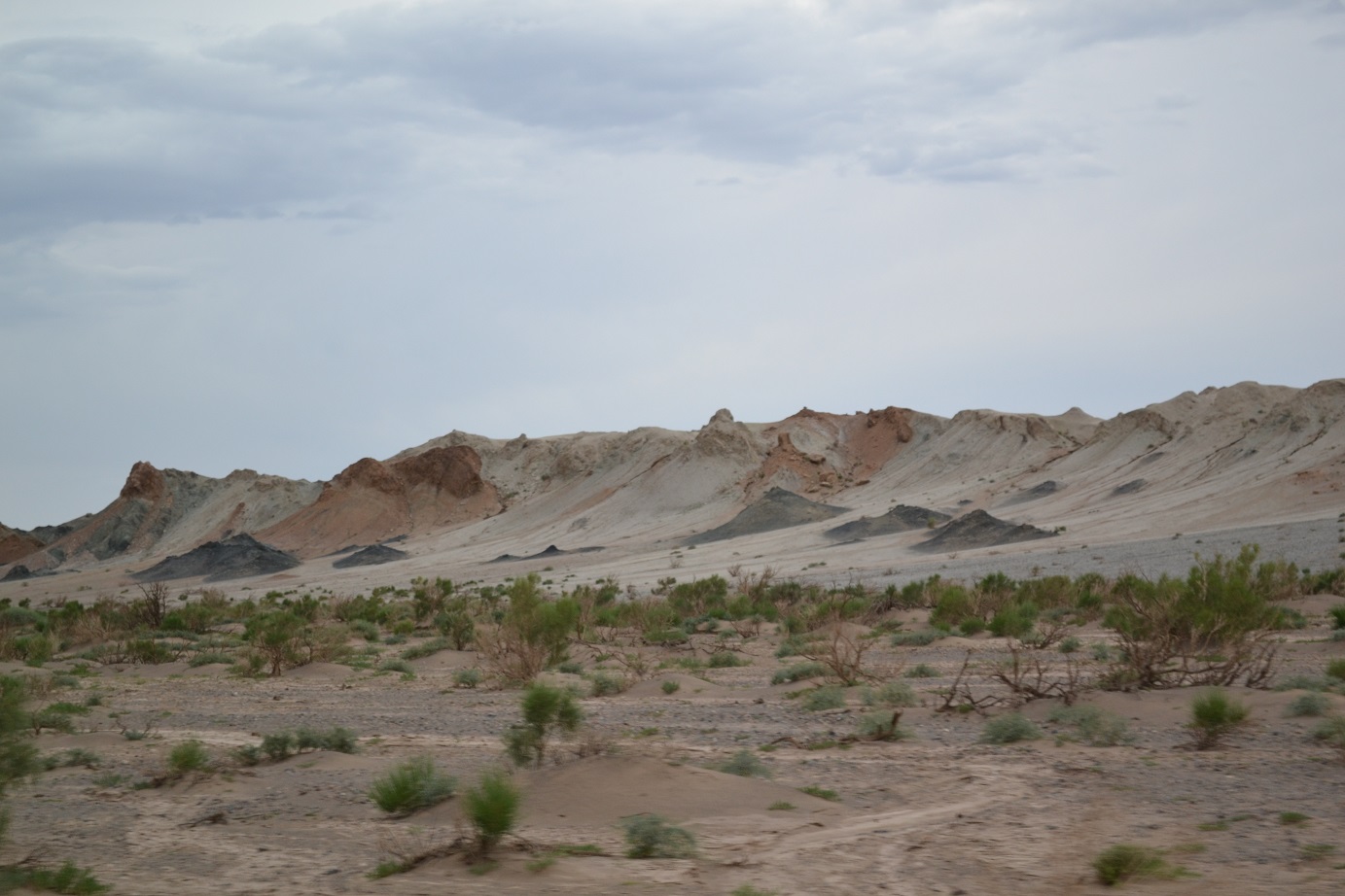DSC_0516.JPG