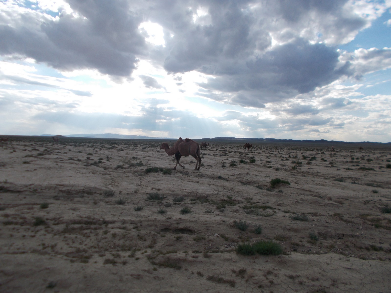 DSCN1150.jpg