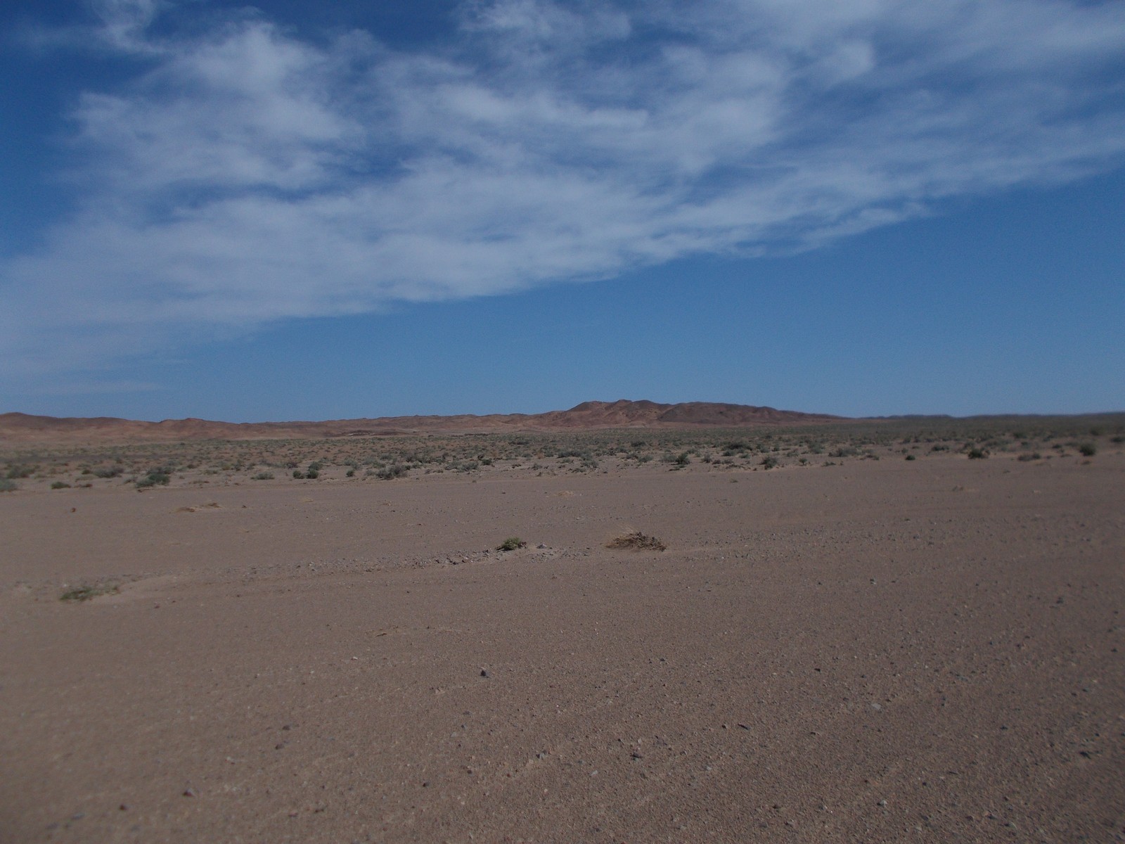 DSCN1182.jpg