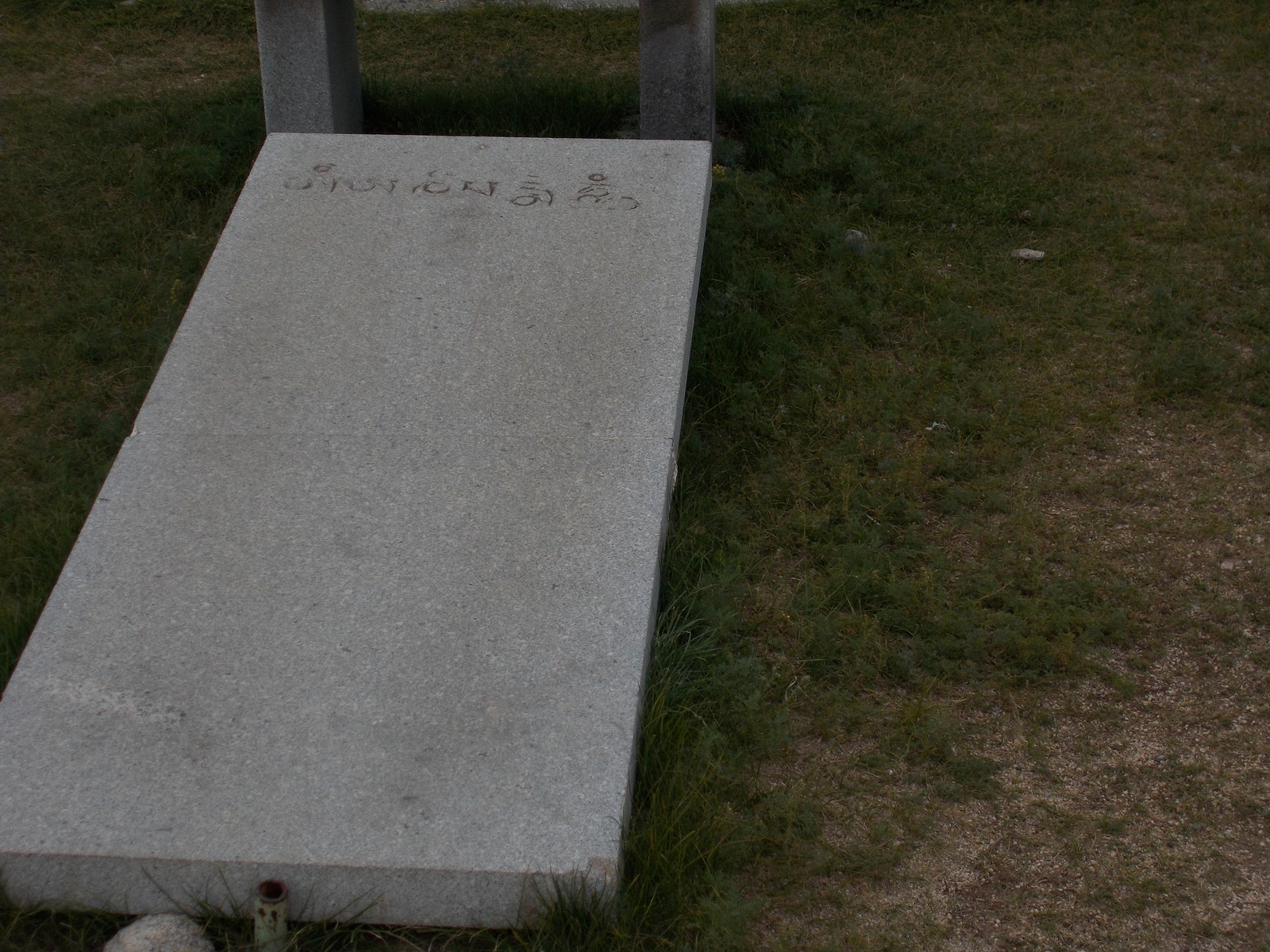 DSCN1318.jpg