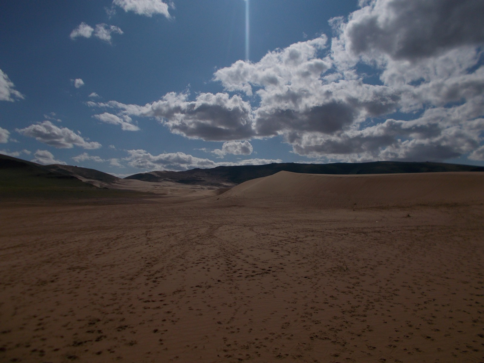 DSCN1484.jpg