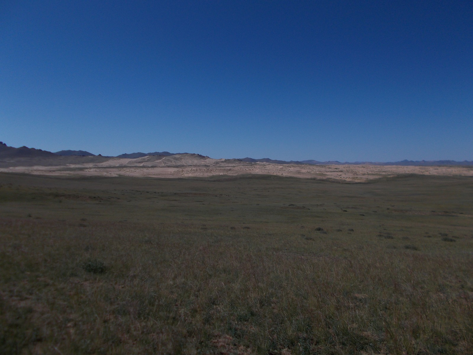 DSCN1508.jpg