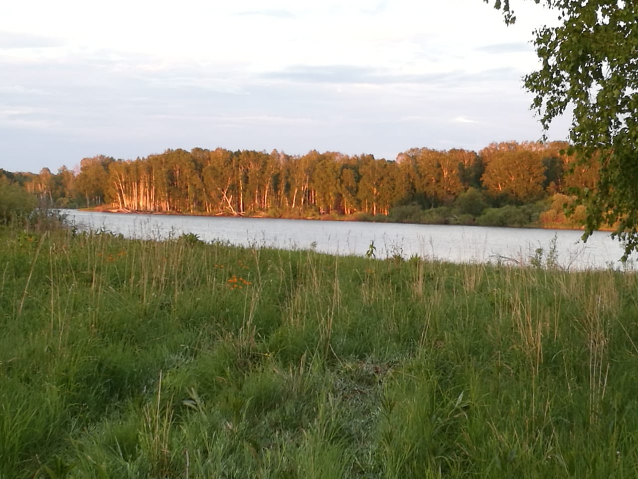 IMG-20210614-WA0007.jpg