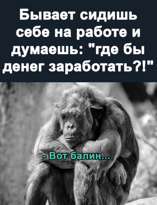 3966.png