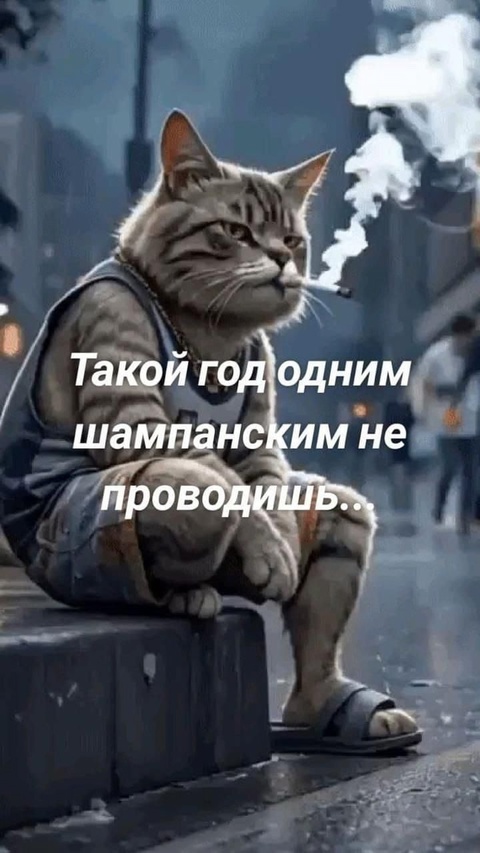 CVp0kY0VhG6ceGT1M4C9k9GOOIwM8G76dVsdkx_1Ittw4P9WCrkRzHFY2aliQEtir7e-Fz8MoPBrszpam88s1WXQ.jpg