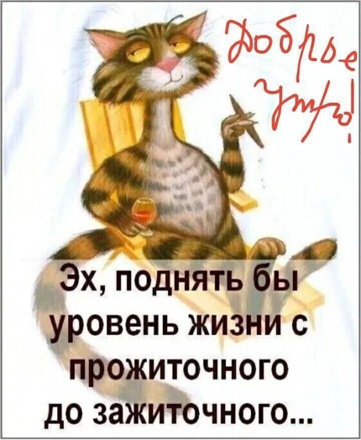 169.jpg