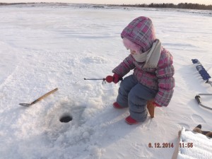 IMG_20161222_085606_0.jpg