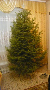 IMG_20161229_193025.jpg