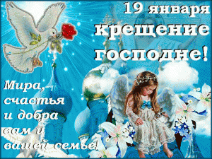 11684990.gif