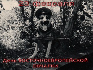 70dc658a3dca.jpg