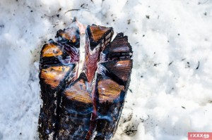 DSC_0071.jpg