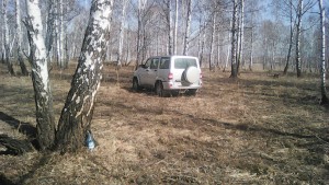 IMG_20170422_110456.jpg
