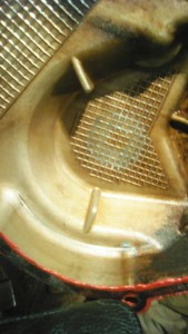 IMG_20170510_212018.jpg