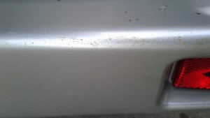 20170518_202031.jpg