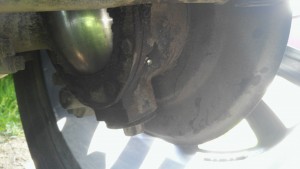 IMG_20170612_160658.jpg